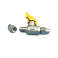 BALL VALVE - 5/16 SAE & NUTS 