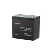 Renogy 12V 100Ah Core Mini Lithium Battery